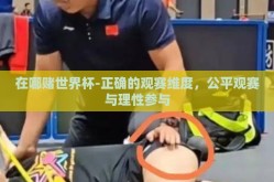 在哪赌世界杯-正确的观赛维度，公平观赛与理性参与