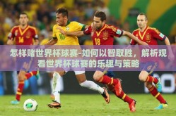 怎样赌世界杯球赛-如何以智取胜，解析观看世界杯球赛的乐趣与策略