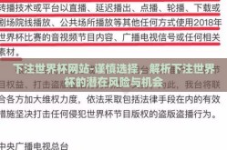 下注世界杯网站-谨慎选择，解析下注世界杯的潜在风险与机会