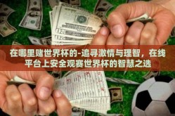 在哪里赌世界杯的-追寻激情与理智，在线平台上安全观赛世界杯的智慧之选
