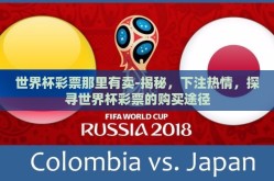 世界杯彩票那里有卖-揭秘，下注热情，探寻世界杯彩票的购买途径