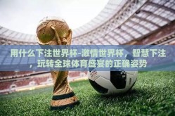 用什么下注世界杯-激情世界杯，智慧下注，玩转全球体育盛宴的正确姿势