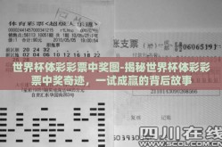 世界杯体彩彩票中奖图-揭秘世界杯体彩彩票中奖奇迹，一试成赢的背后故事