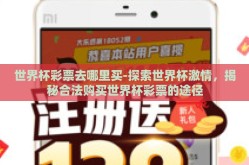 世界杯彩票去哪里买-探索世界杯激情，揭秘合法购买世界杯彩票的途径