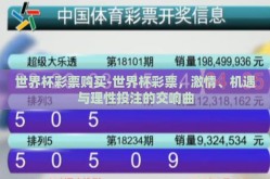 世界杯彩票购买-世界杯彩票，激情、机遇与理性投注的交响曲