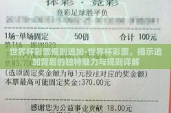 世界杯彩票规则追加-世界杯彩票，揭示追加背后的独特魅力与规则详解