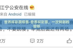 世界杯彩票停售-世界杯彩票，一次特别的暂停