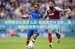 世界杯足彩票怎么买-解密世界杯足彩，精准购彩指南与技巧大公开