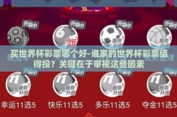 买世界杯彩票哪个好-谁家的世界杯彩票值得投？关键在于审视这些因素