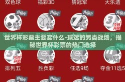 世界杯彩票主要买什么-球迷的另类战场，揭秘世界杯彩票的热门选择
