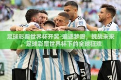 足球彩票世界杯开奖-追逐梦想，挑战未来，足球彩票世界杯下的全球狂欢