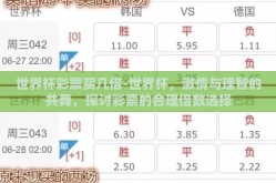 世界杯彩票买几倍-世界杯，激情与理智的共舞，探讨彩票的合理倍数选择