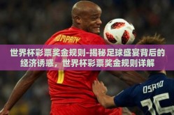 世界杯彩票奖金规则-揭秘足球盛宴背后的经济诱惑，世界杯彩票奖金规则详解