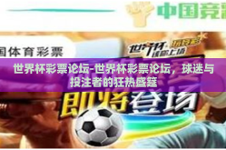 世界杯彩票论坛-世界杯彩票论坛，球迷与投注者的狂热盛筵