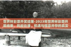 世界杯彩票开奖结果-2023年世界杯彩票开奖结果，风起云涌，机遇与惊喜并存的真实现场