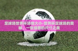 足球场世界杯场地大小-世界杯足球场的奥秘，一张绿茵的尺寸之美