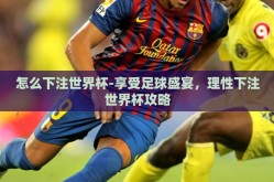 怎么下注世界杯-享受足球盛宴，理性下注世界杯攻略
