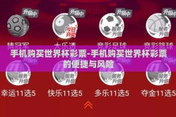 手机购买世界杯彩票-手机购买世界杯彩票的便捷与风险