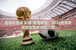 世界杯足球 彩票-重塑激情，2023世界杯足球彩票的梦幻之旅