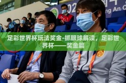 足彩世界杯玩法奖金-抓眼球解读，足彩世界杯——奖金篇
