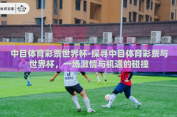 中目体育彩票世界杯-探寻中目体育彩票与世界杯，一场激情与机遇的碰撞