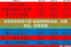 世界杯彩票买几倍-智追世界杯热潮，合理投注，科学选倍