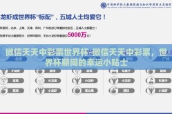 微信天天中彩票世界杯-微信天天中彩票，世界杯期间的幸运小贴士