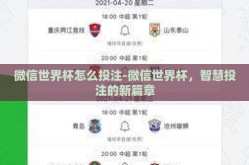 微信世界杯怎么投注-微信世界杯，智慧投注的新篇章
