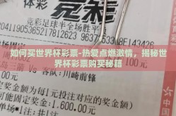 如何买世界杯彩票-热爱点燃激情，揭秘世界杯彩票购买秘籍