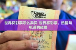 世界杯彩票怎么卖买-世界杯彩票，热情与机遇的碰撞