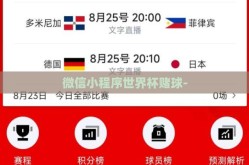 微信小程序世界杯赌球-
