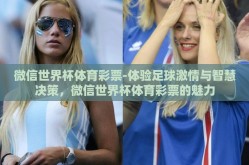微信世界杯体育彩票-体验足球激情与智慧决策，微信世界杯体育彩票的魅力