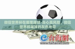 微信世界杯在哪里赌球-当心高风险，微信世界杯赌球的灰色地带