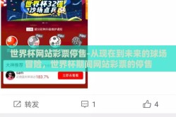 世界杯网站彩票停售-从现在到未来的球场冒险，世界杯期间网站彩票的停售