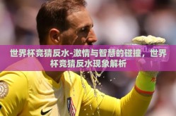 世界杯竞猜反水-激情与智慧的碰撞，世界杯竞猜反水现象解析