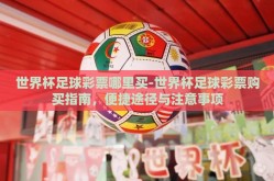 世界杯足球彩票哪里买-世界杯足球彩票购买指南，便捷途径与注意事项