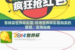 怎样买世界杯彩票-探寻世界杯彩票购买的智慧，实用指南