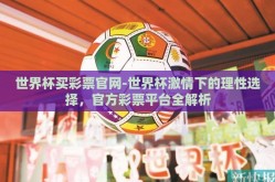 世界杯买彩票官网-世界杯激情下的理性选择，官方彩票平台全解析
