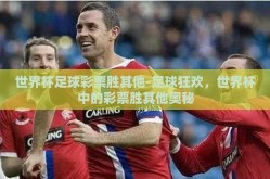世界杯足球彩票胜其他-足球狂欢，世界杯中的彩票胜其他奥秘