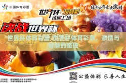 世界杯体育彩票-世界杯体育彩票，激情与智慧的碰撞