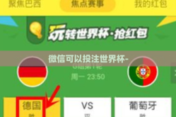 微信可以投注世界杯-