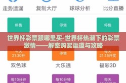 世界杯彩票跟哪里买-世界杯热潮下的彩票激情——解密购买渠道与攻略