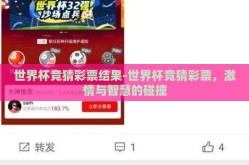 世界杯竞猜彩票结果-世界杯竞猜彩票，激情与智慧的碰撞