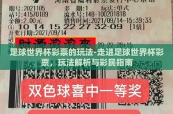 足球世界杯彩票的玩法-走进足球世界杯彩票，玩法解析与彩民指南