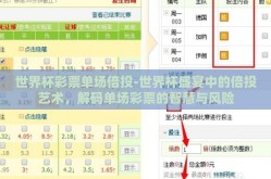世界杯彩票单场倍投-世界杯盛宴中的倍投艺术，解码单场彩票的智慧与风险