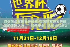 微信怎么买世界杯彩票-微信购买世界杯彩票的便捷之选——如何安全、合法地参与2022世界杯