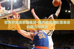 世界杯足球彩票单场-世界杯足球彩票单场的魅力与挑战