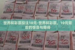 世界杯彩票投注10元-世界杯彩票，10元背后的惊喜与期待