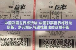 中国彩票世界杯玩法-中国彩票世界杯玩法探析，多元娱乐与理性投注的双重平衡