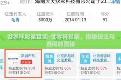 世界杯彩票查询-世界杯彩票，揭秘投注与查询的奥秘